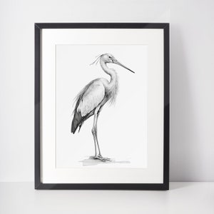 Stork Sketch Wall Art | Digital Wall Art | Nature Wall Art | Bird Wall Art | Home Decor | Office Decor