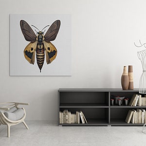 Death Head Moth |  Butterfly Skull Dead | Butterfly Wall Art | Oddity Insect Bug Wall Art | Hanging Decor | Home Decor