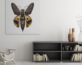 Tête de mort | Crâne de papillon mort | Art mural papillon | Art mural insecte insecte bizarrerie | Décor suspendu | Décoration de maison