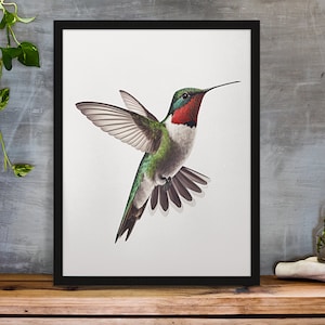 Hummingbird Wall Art | Digital Bird Print | Red Throated Hummingbird | Home Decor | Office Decor |