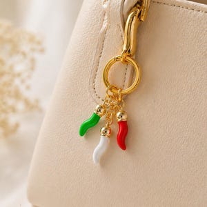 Italiensk flagga Cornicello nyckelring, Amalfis horn lycka till-berlock nyckelring, italiensk flagga souvenir nyckelring, handgjord Italien resepresent