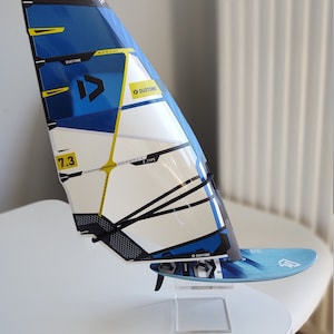 Model Windsurfing Fanatic Gecko Duotone E-TYPE C02