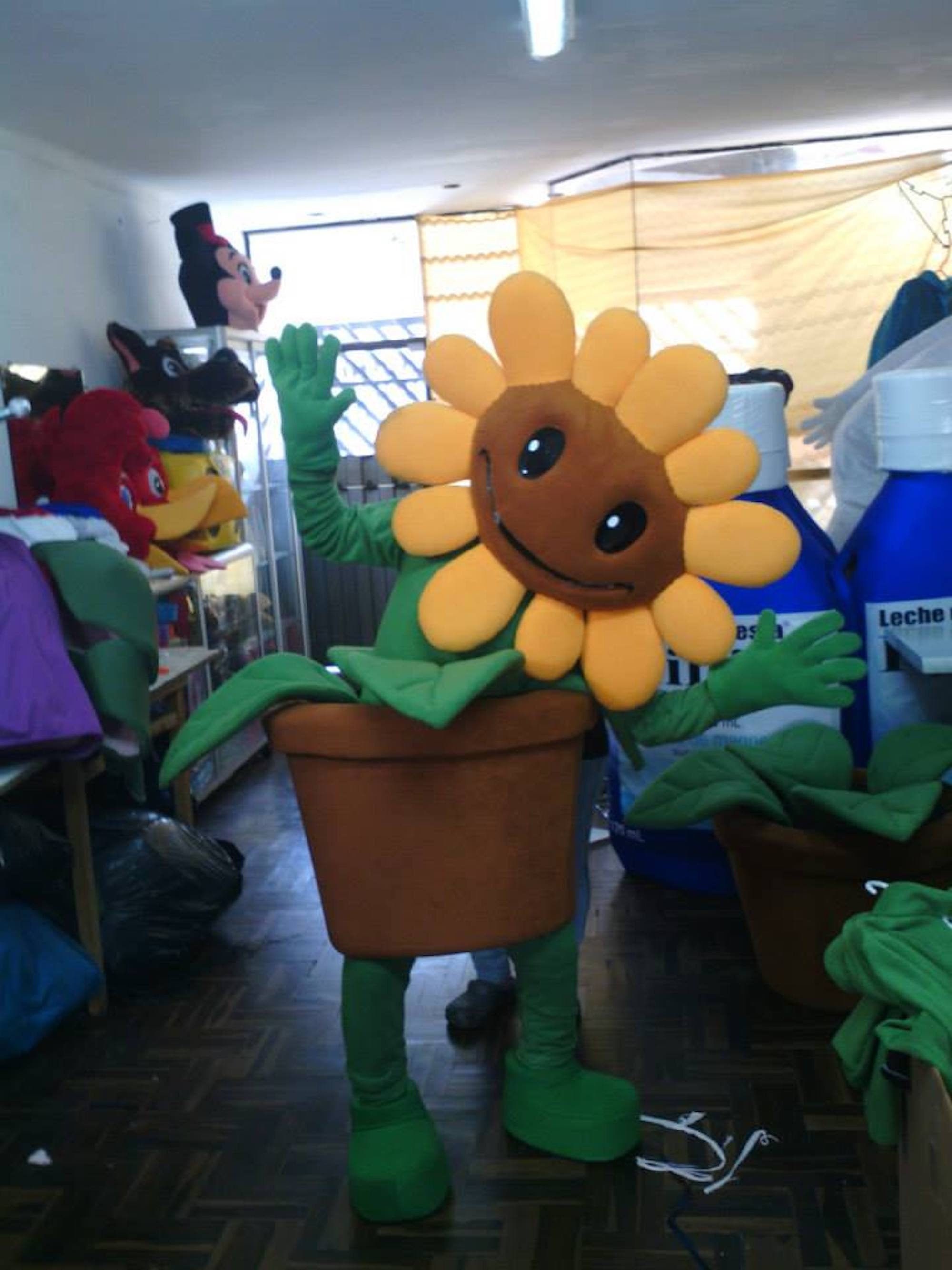 Sunflower Plants Vs Zombies Mascot Costume Adult For Sale Etsy