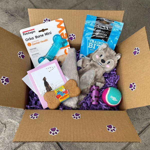 Puppy Parcel – Geschenkbox für neue Welpen – SECHS Leckereien/Spielzeuge!