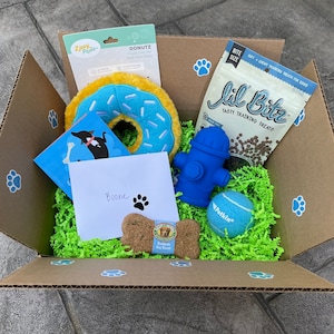 Pup Paket - Hunde Geschenkbox - FÜNF Leckerli/Spielzeug!