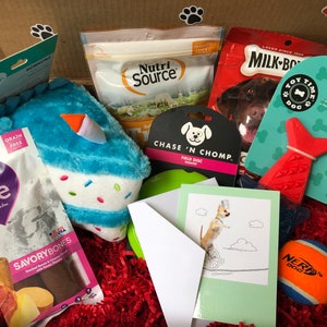 Double Pup Parcel - Doggy gift box - EIGHT Toys/Treats!