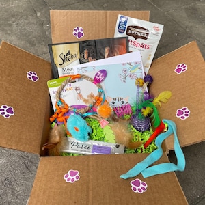 Kitty Karton - Geschenkbox für Katzenliebhaberinnen - ACHT Leckerlis