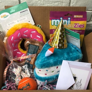 Birthday Pup Parcel - Doggy gift box - SEVEN treats/toys!