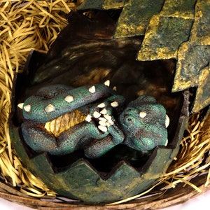 Polymer Clay Baby Dragon in Egg Sculpture: OOAK Fantasy Hatchling
