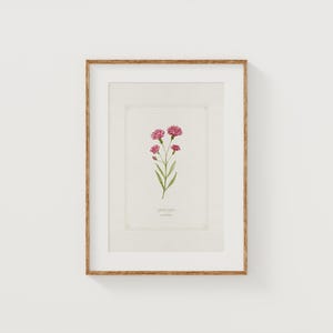 January Birth Flower Art: Carnation Watercolor Giclée Print (8x10)