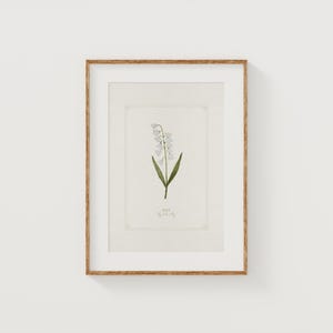 May Birth Month Flower Print – Hand Watercolor Giclée Art | Gift for Moms, Baby Shower, Nursery Wall Decor | 8x10 Fine Art Print