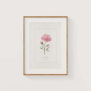 September Birth Flower Print: Peony Watercolor Giclée Art (8x10)