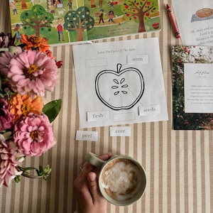 May include: An open children's book with illustrations of an apple orchard and the text "Autumn is here-" and "time for apple picking!". A worksheet labeled "Label The Parts Of The Apple" is next to the book. A cup of coffee and flowers are also in the image.