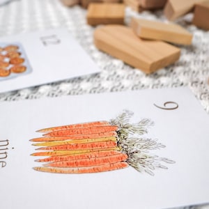 Puede incluir: Una tarjeta blanca con la palabra "nueve" y una ilustraci&oacute;n de acuarela de nueve zanahorias con hojas verdes. El n&uacute;mero "9" est&aacute; escrito en la esquina superior derecha de la tarjeta.