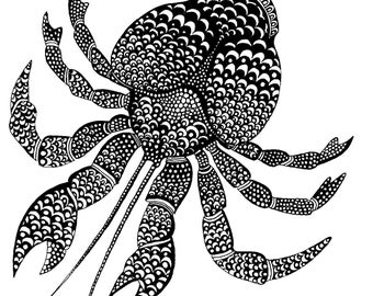 Coconut crab - Original drawing