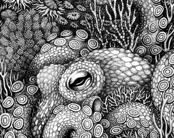 Octopus - Original Drawing