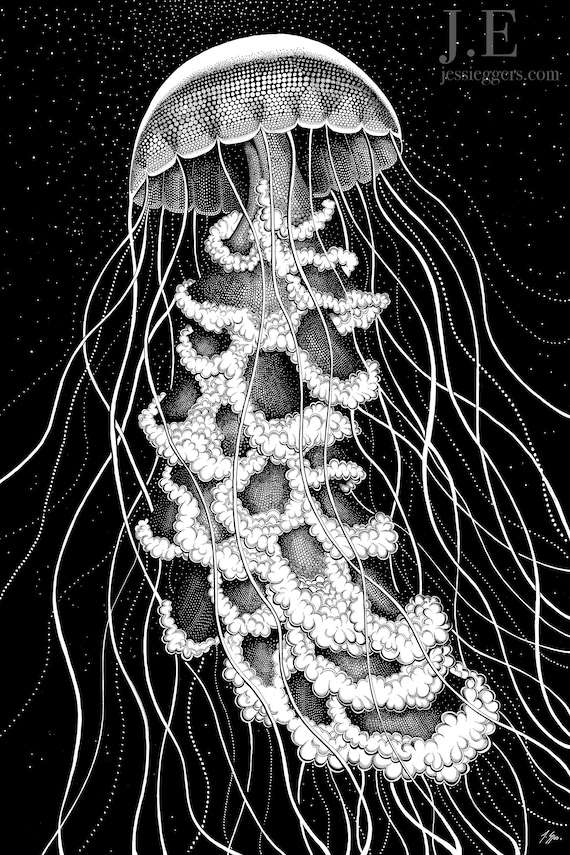 Lion's Mane Jellyfish - Original Drawing - Etsy