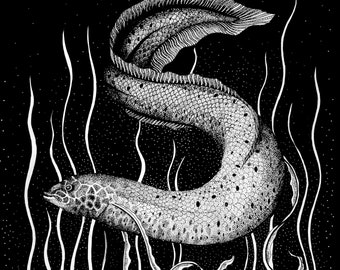 Lungfish - Original Drawing