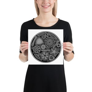 Diatom: Poster