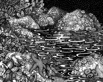 Tide pool: a moonlight sonata