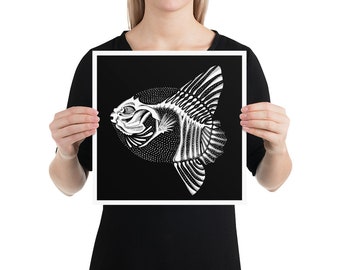 Mola mola (Sunfish) skeleton: Photo paper poster