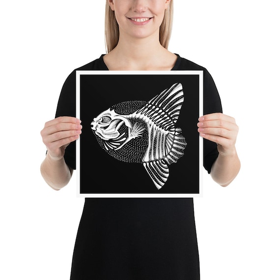 Ocean Sunfish Skeleton