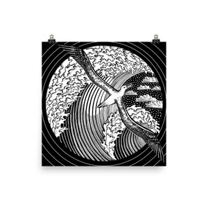 Albatross: Poster