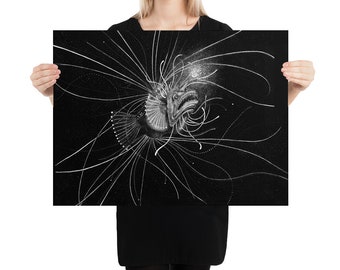 Anglerfish: Poster
