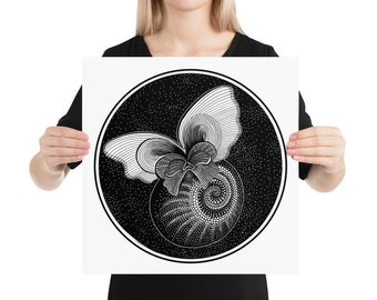 Pteropod: Poster