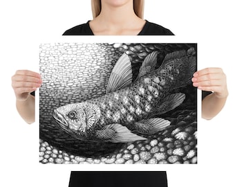 Coelacanth: poster