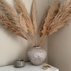 May include: A neutral-toned interior scene featuring a vase of dried pampas grass. The vase is silver with a speckled finish. A small grey candle and a seashell dish with gold rings complete the minimalist decor.