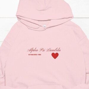 Puede incluir: Sudadera con capucha rosa con el texto "Alpha Psi Lambda Established 1985" y un corazón rojo.