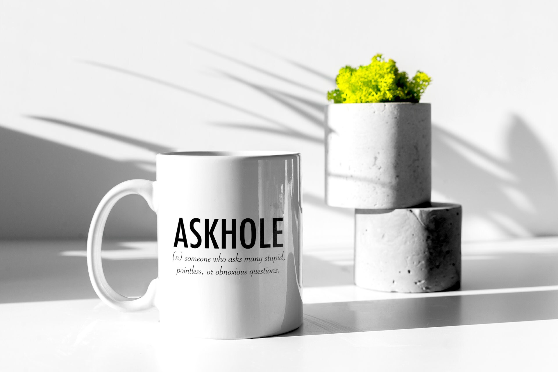 Funny Sarcastic Mug, Novelty Coffee Cup, Humorous Quote Gift, 11