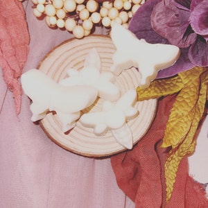 Butterfly wax melts