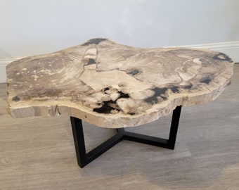 Table basse en bois pétrifié