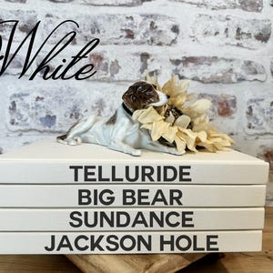 May include: A stack of four white decorative books with black text: TELLURIDE, BIG BEAR, SUNDANCE, and JACKSON HOLE. A ceramic dog figurine and dried flowers rest on top. The word "White" is written in cursive.