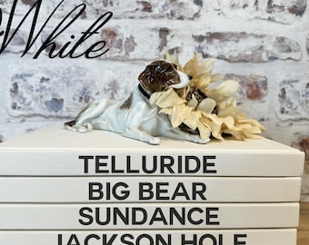 Custom Travel Book Stack: Personalized City & Country Shelf Decor