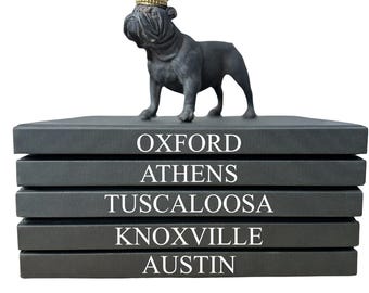 Handmade Personalized Books featuring your Favorite College Towns, Stadiums, for Home Decor & Staging