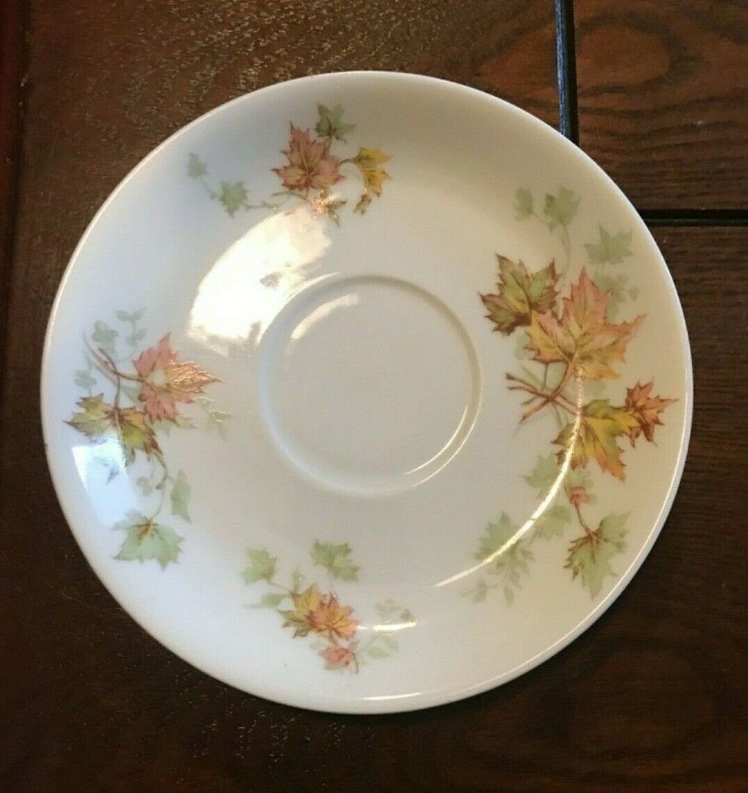 Haviland France Decorated by Haviland & Co. Limoges. Autumn Leaf