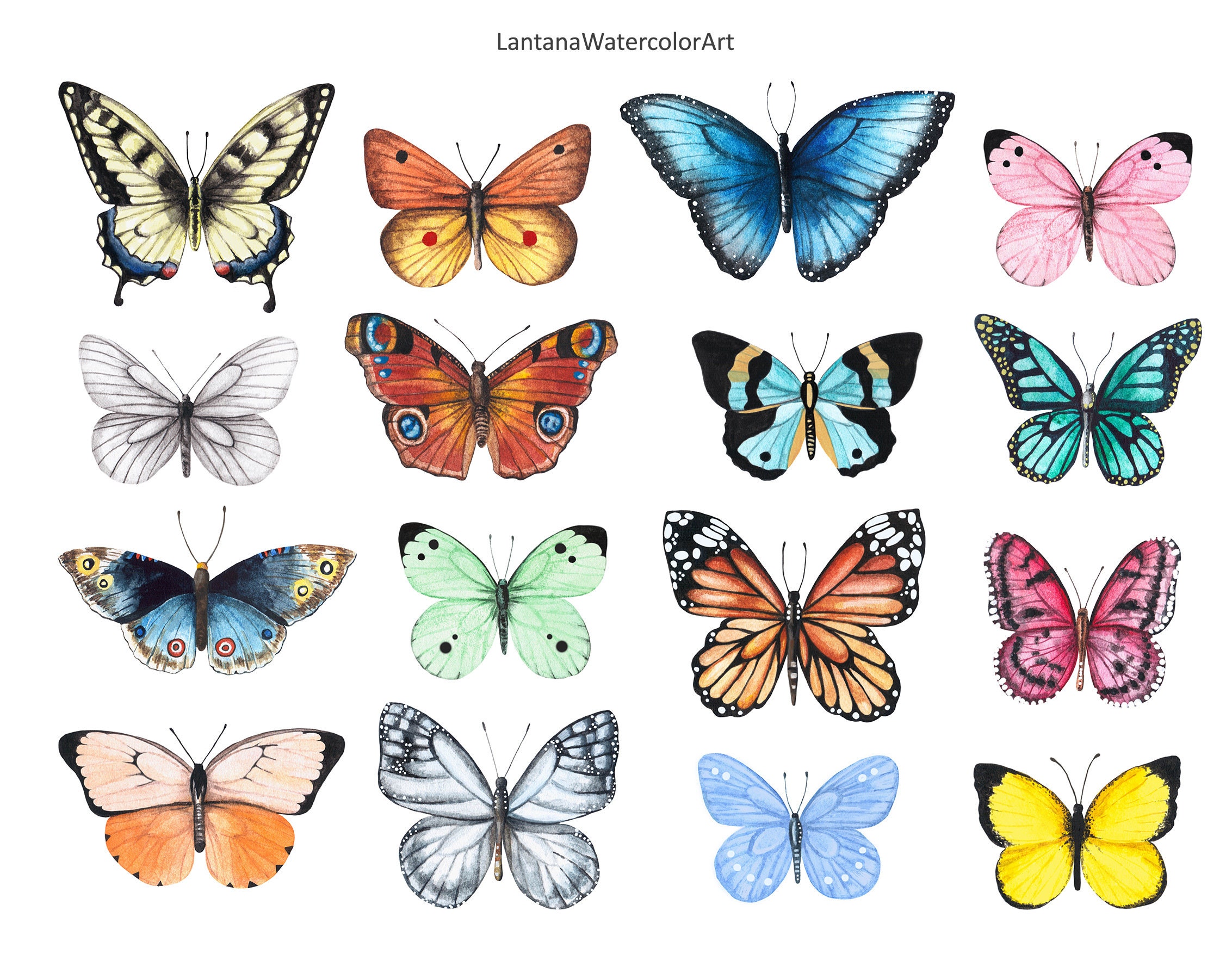 Butterfly Clipart Watercolor Clipart Bright Color Clipart Hand | Images ...