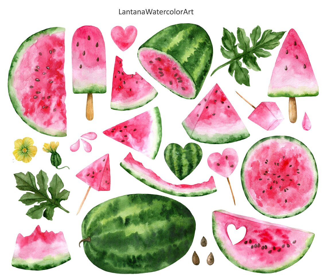Watercolor Watermelon Clipart. Set of juicy pink watermelons. Etsy
