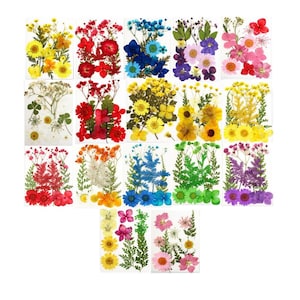 Pressed Flowers and Leaves for Resin Crafts, Scrapbooking