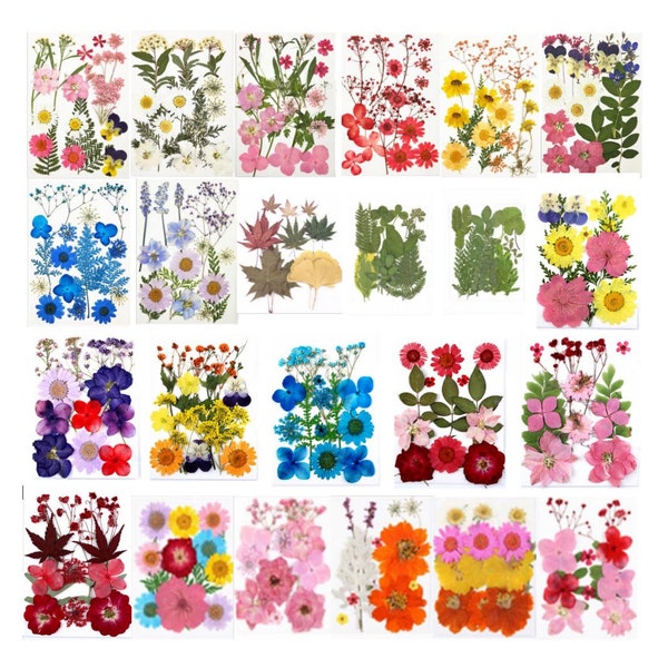 Dried Pressed Flowers and Leaves for Craft- Phone Cases- Scrapbooking, Jewelry, Greeting Cards, DIY Anything!