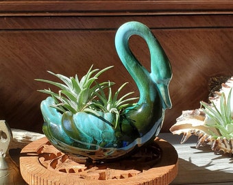 Blue Mountain Pottery swan planter