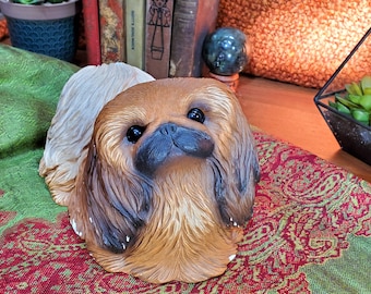 Red Pekingese  Sandra Brue  Sandicast dog