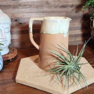 May include: A ceramic pitcher with a handle, featuring a two-tone design. The bottom is a warm brown, and the top has a cream and light blue glaze. A green air plant rests on a burlap mat.
