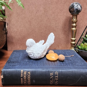 Dove plaster figurine Italy  bird figurine  hand carved plaster bird
