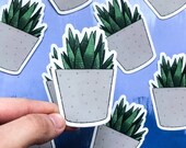 Succulent stickers, cactus stickers, aloe Vera sticker, aloe Vera plant, succulent decal, succulent cactus, cactus decal, succulent print