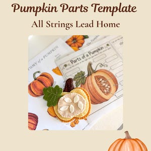 以下が含まれることがあります： Pumpkin Parts Templateの教育用アクティビティセット。カボチャのイラストとラベルが印刷されたワークシートと、オレンジ、黄色、クリーム色のフェルトを重ねて作られた手作りのフェルト製カボチャモデルが含まれています。