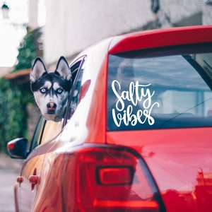 Vinyl Decal - &quot;salty vibes&quot;